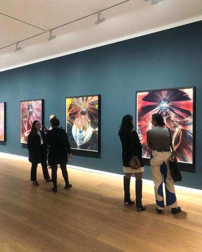 Andra Ursutas Kaleidoscopic Photograms Give Form to Mortality at David Zwirner