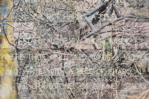 Imants Tillers