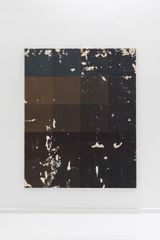 Lanit_003 by Berni Puig contemporary artwork mixed media