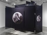 Planetary Bath _ Microscopium  Telescopium by Xue Mu contemporary artwork print sculpture textile