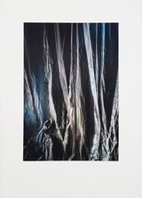 Untitled 3183 by Elisa Sighicelli contemporary artwork photography