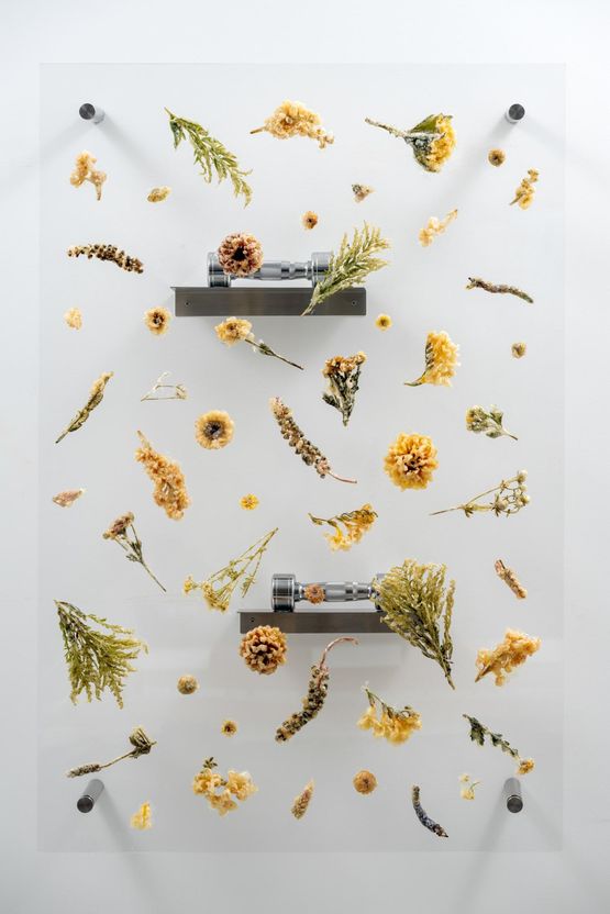 Post Classical III by Anicka Yi contemporary artwork Design