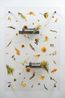 Post Classical III by Anicka Yi contemporary artwork Design