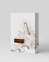 Aura of Grace by Li Ting Ting contemporary artwork mixed media