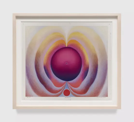 Six Centimeters Dilated by Loie Hollowell contemporary artwork Drawing