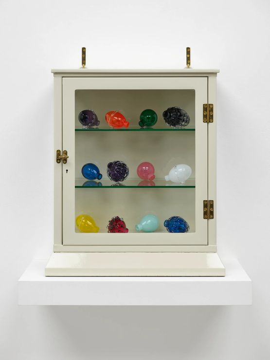 Still Life medical cabinet VI by Mona Hatoum contemporary artwork Sculpture