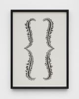 Botanical Parentheses by Donald Urquhart contemporary artwork drawing painting works on paper