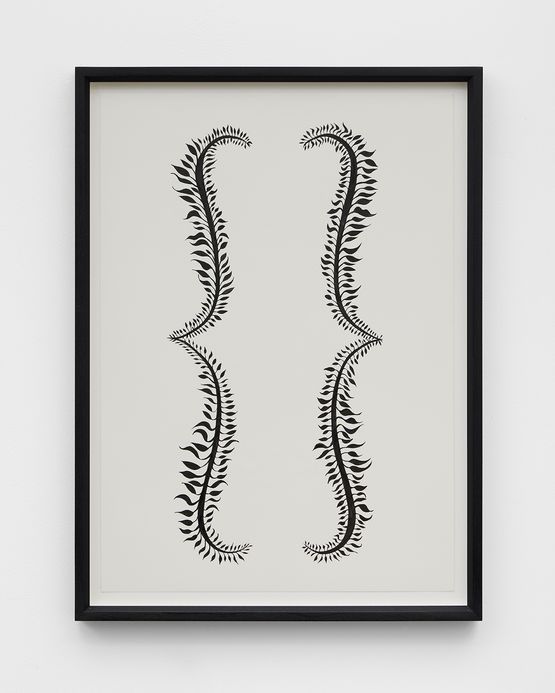 Botanical Parentheses by Donald Urquhart contemporary artwork Painting