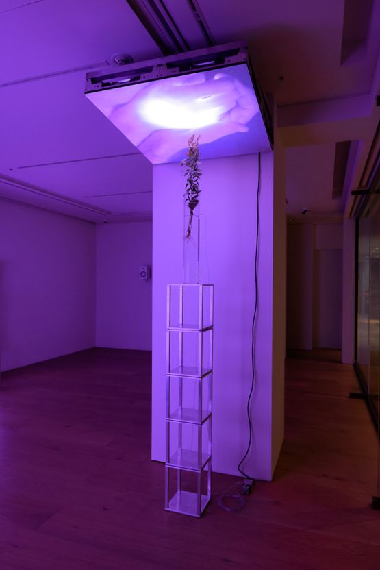 Seminarium 6 by Jesper Just contemporary artwork Sculpture