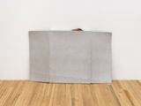 Wasted by Liz Magor contemporary artwork sculpture