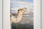 Ulrich Lamsfuss contemporary artist