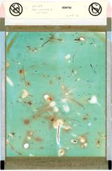 Foresight No.21  No.21 by Jiang Pengyi contemporary artwork photography