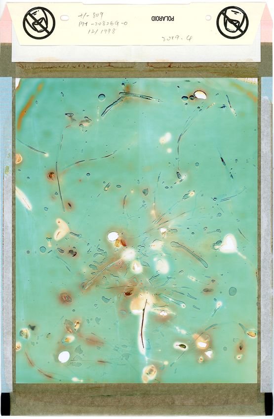 Foresight No.21  No.21 by Jiang Pengyi contemporary artwork Photography