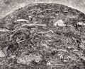Diorama Map Berlin by Sohei Nishino contemporary artwork Photography