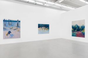 Paul de Flers