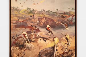 Petra Cortright