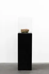 How to Become A Bird by Elmgreen  Dragset contemporary artwork mixed media