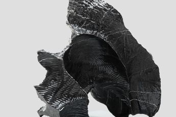 Sui Jianguo contemporary artist