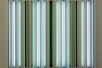 Robert Irwin contemporary artist