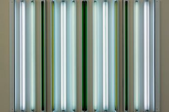 Robert Irwin contemporary artist