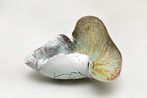 Kentaro Kawabata contemporary artist