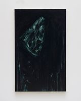 apollo  meteor  hill  armor  watermelon by Ryu Takeda contemporary artwork painting
