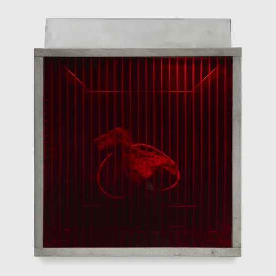Red Shrine from the series Technological Reliquaries by Paul Thek contemporary artwork Sculpture