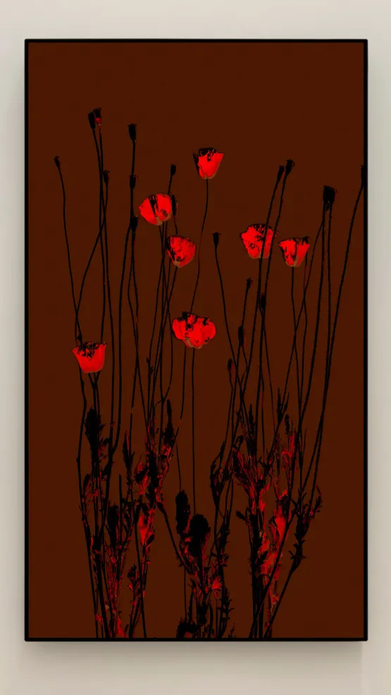 Embers by Michal Rovner contemporary artwork Moving Image