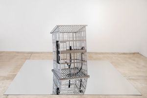 Monica Bonvicini