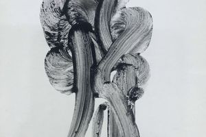 Nankoku Hidai