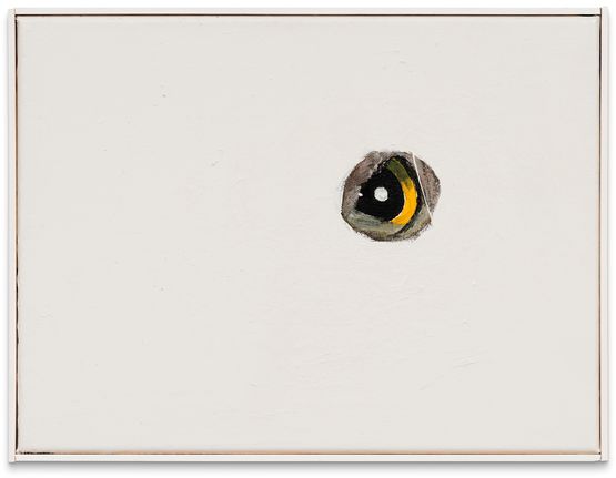 Survey III Parliament Paintings by David Ostrowski contemporary artwork Painting