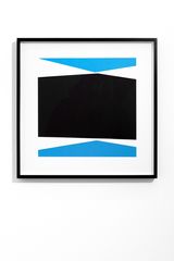 memory Fisch by Martin Wohrl contemporary artwork works on paper