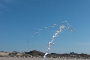 Wolfgang Tillmans