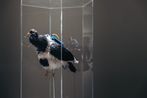 Chang Tingtong contemporary artist