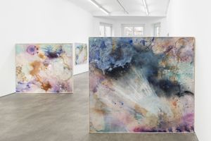 Lucy Dodd