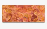Desert Tracks by Emily Kam Kngwarray contemporary artwork painting