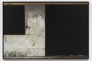 Carrie Mae Weems