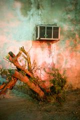Eau de Vie 1518 by Georges Yammine contemporary artwork photography