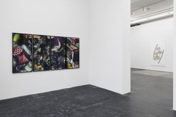 Contemporary art exhibition Ran Zhang Enantiomers and traces at Galeria Plan B Berlin Germany