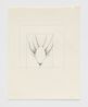No Title by Faith Wilding contemporary artwork Drawing