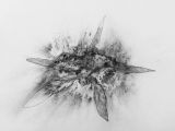PSC-DS 7 by Faisal Samra contemporary artwork works on paper