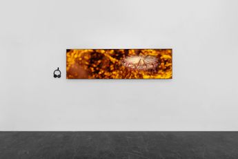 Xin Liu  Nan Zhao contemporary artist