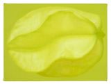 Star Fruit by Katharina Schilling contemporary artwork painting