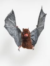 TBT by Monster Chetwynd contemporary artwork sculpture