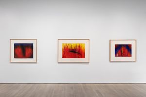 Anish Kapoor