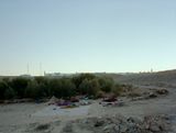 Daybreak on an olive farmNegev DesertIsrael by Jeff Wall contemporary artwork photography print