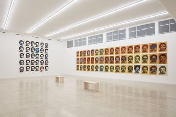 Contemporary art exhibition Ana Lupas Armature at P420 Bologna Italy