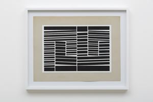 Helio Oiticica