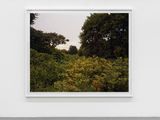 July 17 2006The East Meadows Northampton Massachusetts by Joel Sternfeld contemporary artwork photography