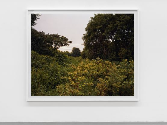 July 17 2006The East Meadows Northampton Massachusetts by Joel Sternfeld contemporary artwork Photography